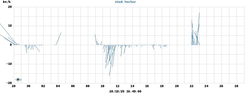 Wind Vector
